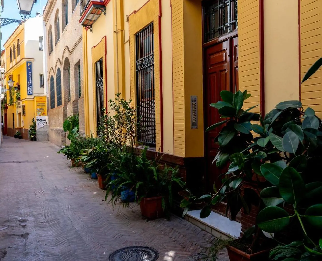 Apartment Rc Sevilla Centro Historico Catedraljuderia